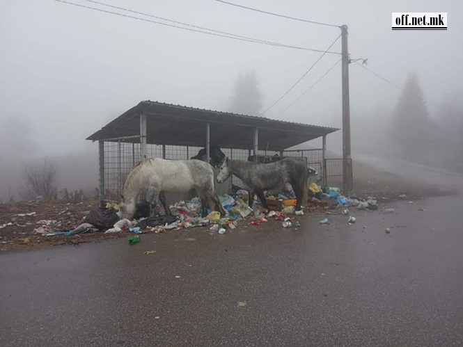 Пониква деновиве, снимено во три последователни дена