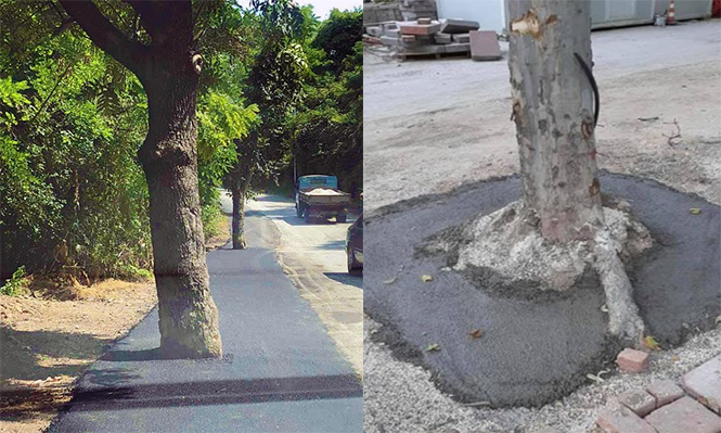 Кај нас (Охрид и Скопје)