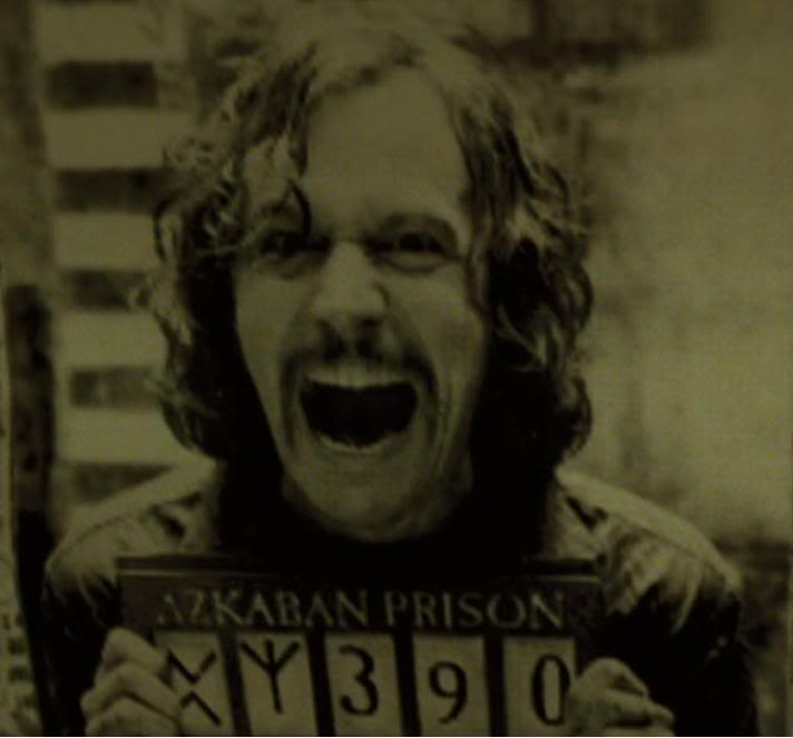 Sirius Black - Harry Potter and the Prisoner of Azkaban (2004)