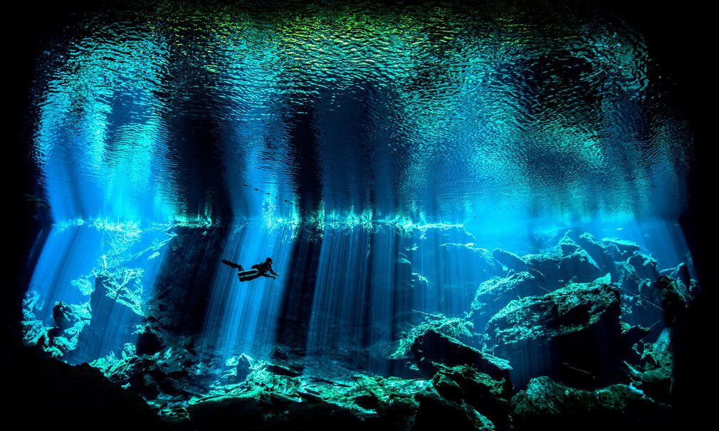 Британски подводен фотограф на годината - Nick Blake
