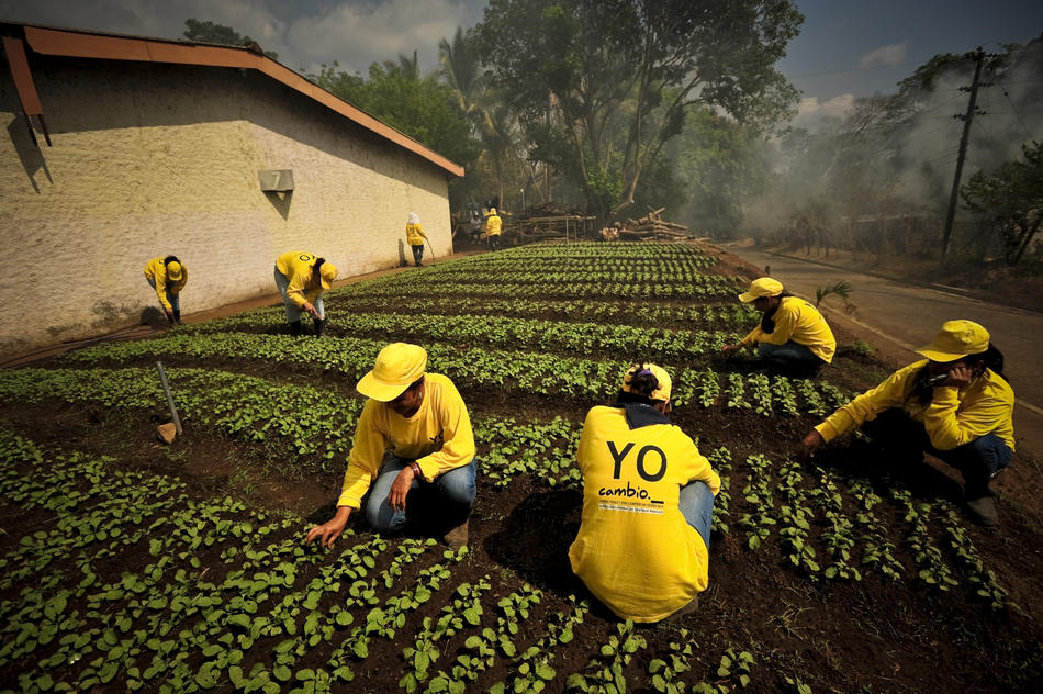 Затворенички од Илопанго работат на фарма во Сан Салвадор