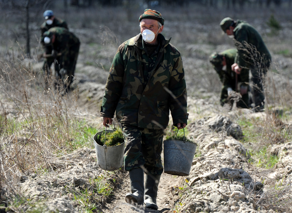 Работниците садат дрва во близина на селото Богуши, Белорусија, кое се наоѓа во забранетата зона. Дрвата треба да оформат природна бариера која ќе го спречи ширењето на радиоактивни честички преку ветрот.