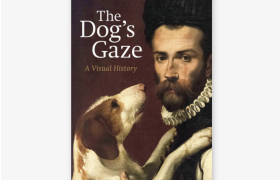 Преку погледот на кучето – скриениот водич низ уметноста