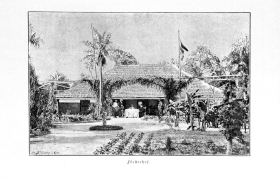 Сестрата на Ниче и сонот за „Нова Германија“