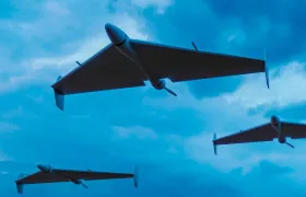 Зезање комшии на саудиски начин