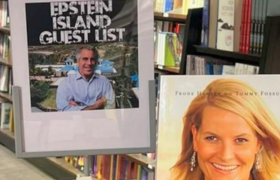 Книжевна категорија: Гостите на Епстин