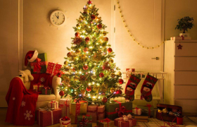 Кога се раскитува елката?