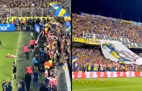 Во Аргентина не фрлаат плишани мечиња, фрлаат разголени кукли