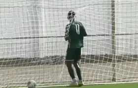 ФИФА даваш ли награда за прослава на сезоната?