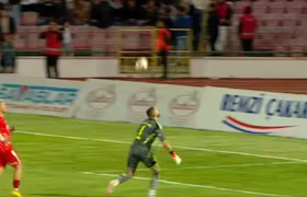 Голман вртелешка