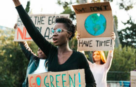 Длабоките џебови на зелените активисти