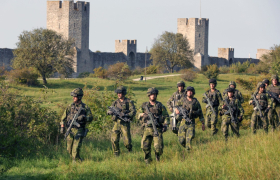Трамп фрли око на Гренланд. Ќе фрли ли Путин око на Готланд?