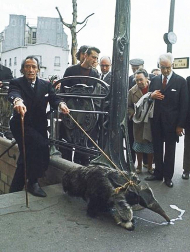 Салвадор Дали го шета своето домашно милениче, мравојад, 1969
