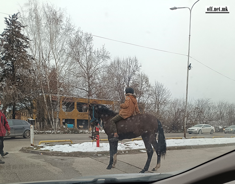 На паркингот кај ритеил паркот Годи: