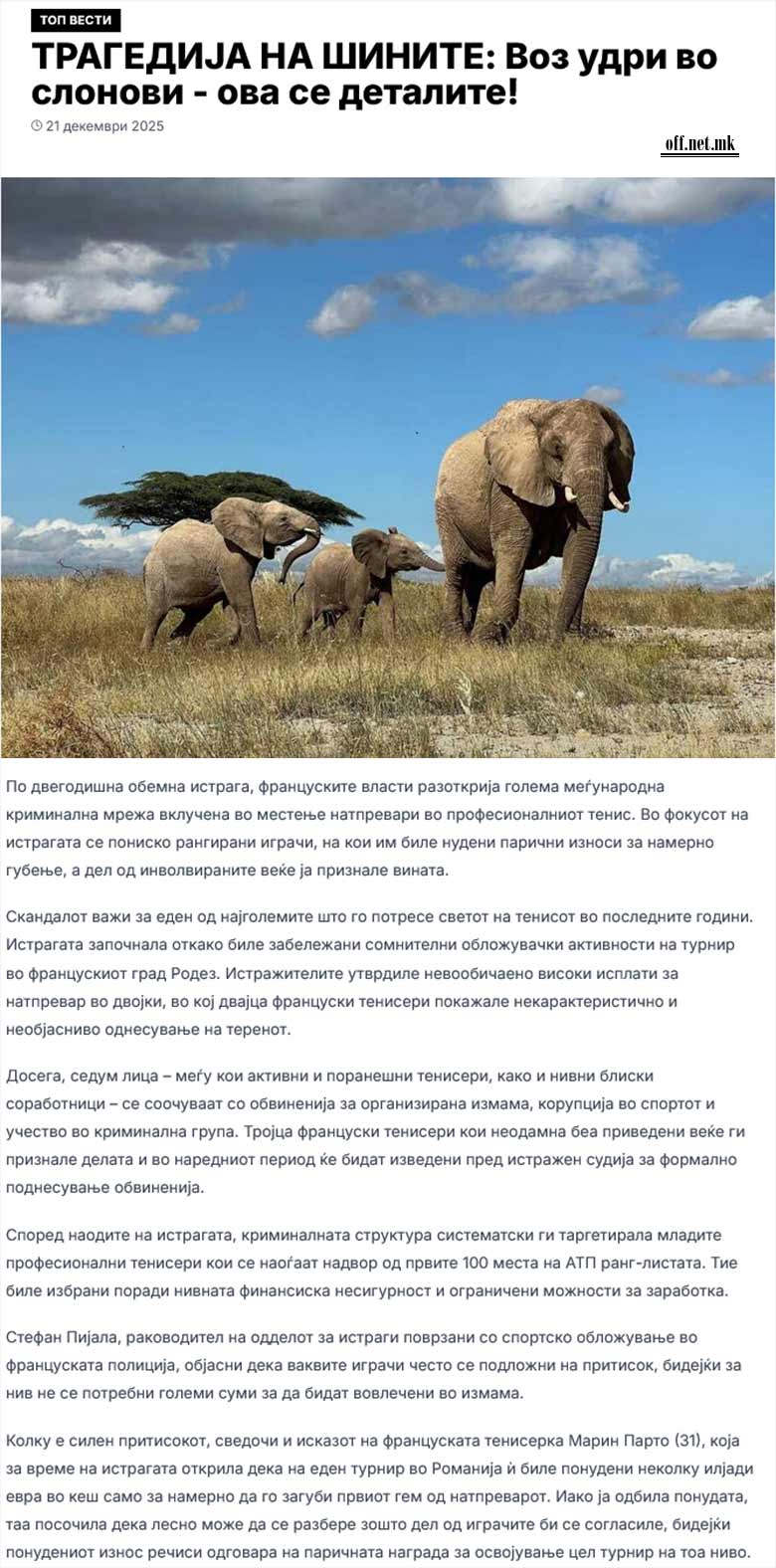 Дури сега ова ни е мистерија